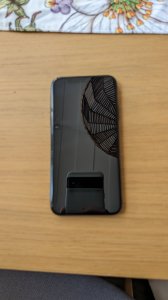 PXL_20240530_095357336.MP.jpg
