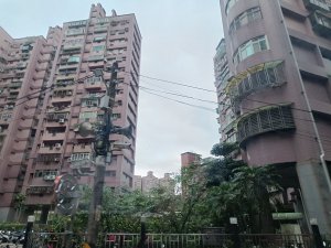 IMG_20240603_081252.jpg