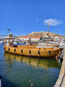 IMG_20240603_144106.jpg