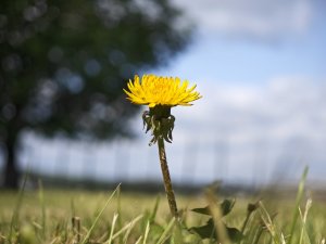 IMG_20240606_083848.jpg