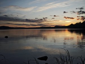 IMG_20240605_220615.jpg