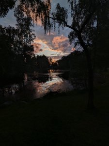 PXL_20240605_194447361.jpg