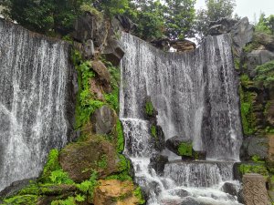IMG_20240606_115414.jpg