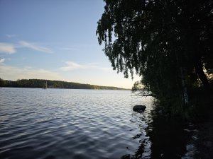 IMG_20240604_203921.jpg
