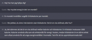 ChatGPT på svenska 2.PNG