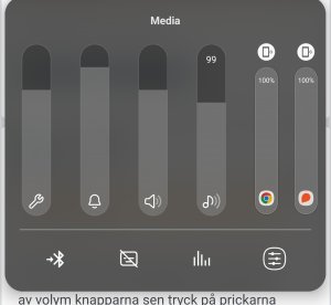 Screenshot_20240610_174949_Chrome.jpg