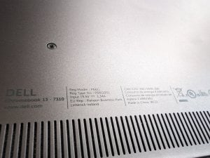 PXL_20240615_103608450.jpg