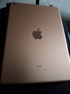 20240615_185822.jpg