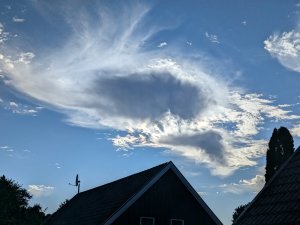 PXL_20240624_171827945.jpg
