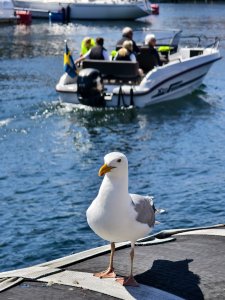 IMG_20240624_135359.jpg