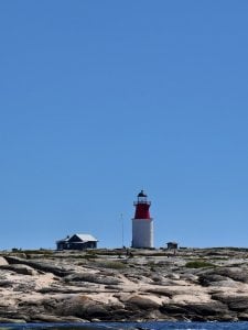 IMG_20240625_145802.jpg