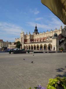20240629_100713.JPG