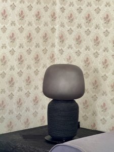 IMG_2978.jpeg
