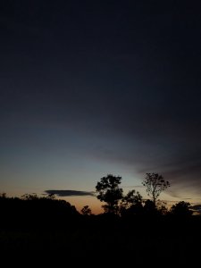 PXL_20240710_214202086.jpg