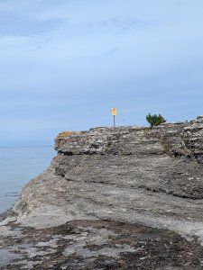 PXL_20240711_114536993.jpg