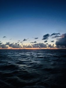 IMG_4125.jpeg