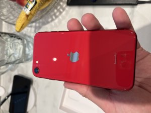 IMG_0506.jpeg