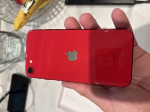 IMG_0507.jpeg