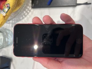 IMG_0509.jpeg