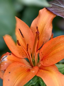 IMG_20240723_152543.jpg