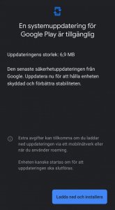 Screenshot_20240724_214700_Google Play Store.jpg