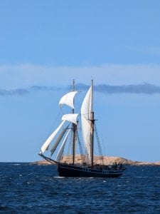 PXL_20240728_101110778.jpg