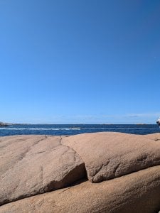 PXL_20240728_101340131.jpg