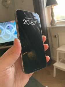 IMG_0006.jpeg