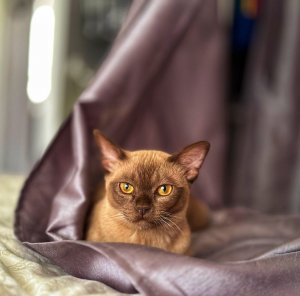 IMG_0471.jpeg