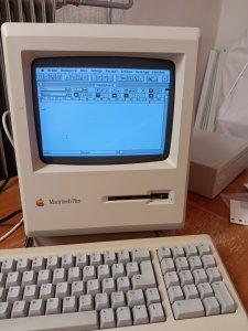 20240731_140339.jpg