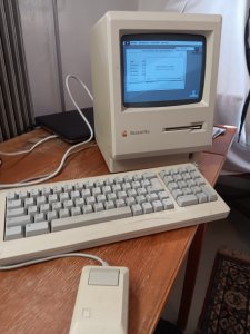 20240731_134336.jpg