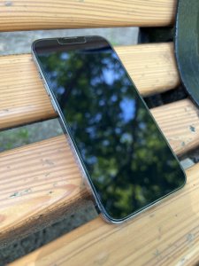 IMG_7650.jpeg