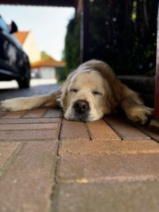 IMG_3961.jpeg