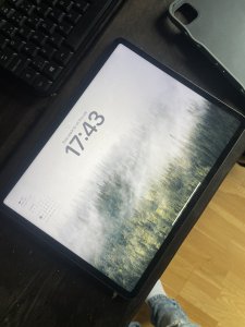 IMG_3520.jpeg
