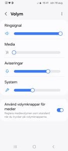Screenshot_20240818_164153_Settings.jpg