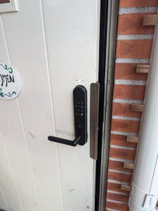 PXL_20240817_161919574.jpg