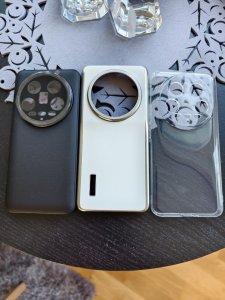IMG_20240816_175242.jpg