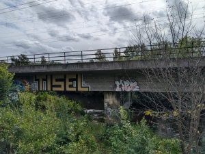 PXL_20240824_102636076.jpg