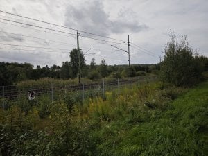 IMG_20240824_122229.jpg
