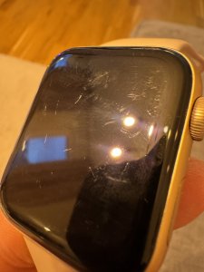 IMG_4487.jpeg