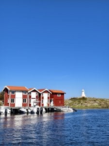 IMG_20240831_121418.jpg