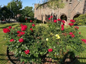 IMG_20160913_095857_1.jpg