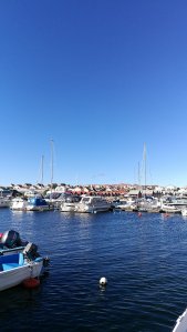 IMG_20160917_110116.jpg