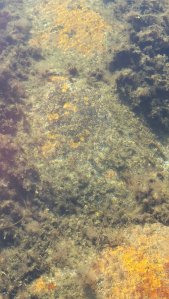 IMG_20160917_160742.jpg