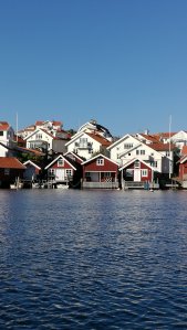IMG_20160917_163909.jpg