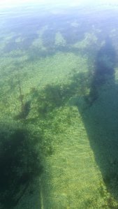 IMG_20160917_162133.jpg