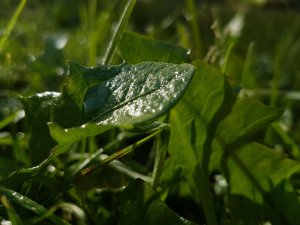 20160918_090937.jpg