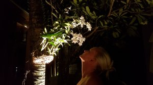 20160704_210148.jpg