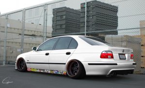 stance2.jpg