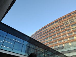 IMG_20240906_191207.jpg